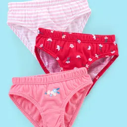 Babyhug 100% Cotton Panties Stripes & Floral Print Pack of 3- Pink & Red-image-19