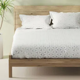 Bianca Aurellia Grey & Blue Cotton 144 TC 115 GSM King Fitted Bedsheet With 2 Pillow Covers image 3