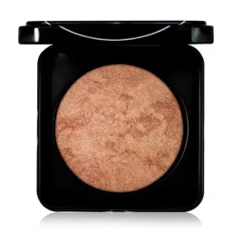 PAC Baked Highlighter - 14 High Standards - 7.5 gm-picture-14