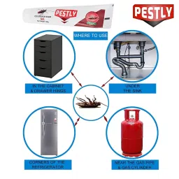 Pestly Cockroach Killer 40 g Organic (Pack of 2) image 3