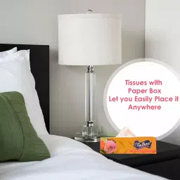 Feather's 2 Ply Biodegradable Premium Facial Dry Tissue F-2103-V image 2