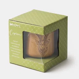 Fabindia Rashi Yellow Ceramic Capricorn Coffee Mug (330 ML) image 3