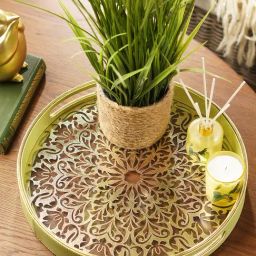 Pure Home and Living Green Faux Leather Tray-picture-20