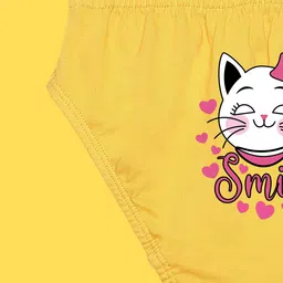 NUSYL Girls Pack Of 3 Printed Mid Rise Basic Briefs image 4