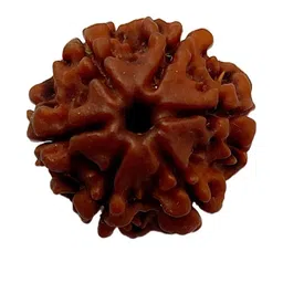 RAVIOUR LIFESTYLE Unisex Brown Pendant-picture-39