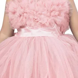 Aarika Net Fit & Flare Dress image 2