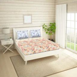Spaces Bonica Beige & White Cotton 144 TC Queen Bedsheet Set-picture-34