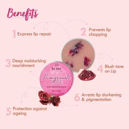 Nat Habit Pomegranate Rose Lip Butter - 10 gm image 3