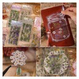 FunBlast Flowers & Leaves Theme Kawaii Stickers Set4 Packets Decorative Stickers-picture-36