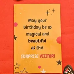 The Prink Butterfly Birthday Greeting Card-picture-20