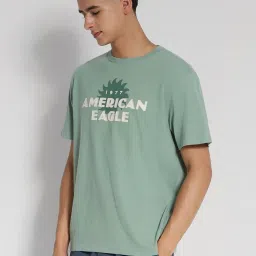 american eagle outfitters American Eagle Green Cotton Regular Fit Printed T-Shirt image 3