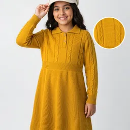 Pine Kids Knit Full Sleeves Woolen Dress with Cable Knit Design - Mustard-picture-20