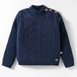 Yellow Apple Knit Full Sleeves Pullover Sweater with Cable Knit Design - Navy Blue-picture-16