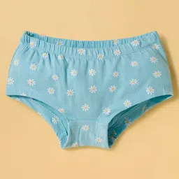 Honeyhap Premium Cotton Knit Striped Panties with Bio Finish & Floral Print Pack of 3 - Bright White Atomizer & Bay image 2