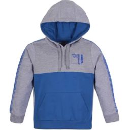 Plum Tree Kids Blue & Grey Cotton Printed Full Sleeves Hoodie-picture-43