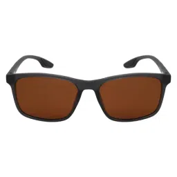 Ted Smith Brown Rectangular Sunglasses for Unisex image 2