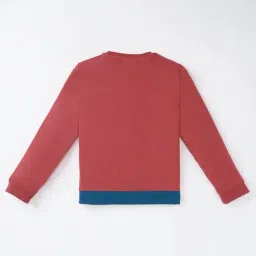 Ed-a-Mamma Kids Blue & Red Color Block Full Sleeves Sweatshirt image 2