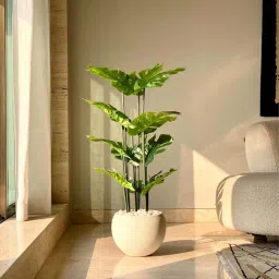 Mason Home Green Artificial Lush Monstera Plant without Pot (Pack of 3) (4 Feet)-picture-11