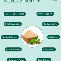 GUT & BEYOND Ashwangandha Gummies - 60 Gummies - Strawberry Flavor image 5