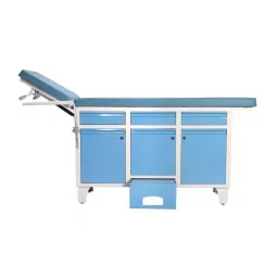 Wellsure Healthcare Examination Couch WSH-1314 image 1