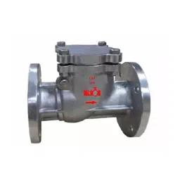 Valson 1 inch, 25.4 mm Swing Type Check Valve Bolted Bonnet Flanged Stainless steel Silver-picture-10