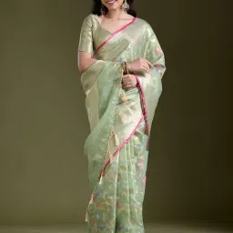 Koskii Pista Green Zariwork (Gold) Banarasi Silk Saree-picture-33