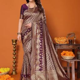 Moda Rapido Embellished Pure Silk Banarasi Saree-picture-16