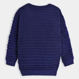 Miarcus Kids Blue Cotton Sweater image 2