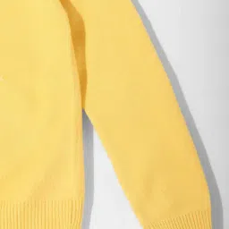 Nauti Nati Boys Yellow Graphic Regular Fit Sweater image 4
