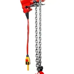Toku Air Hoist 3000 Kg (3 Ton) Capacity With 3M Lifting Chain, 520646-picture-42