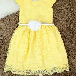 The Lion and The Fish Fit & Flare Dress image 2