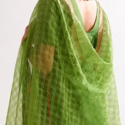 Abhishti Green Chequered Dupatta image 4