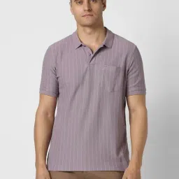 Peter England Purple Cotton Regular Fit Striped Polo T-Shirt-picture-13