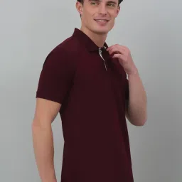 Cantabil Wine Regular Fit Polo T-Shirt image 4