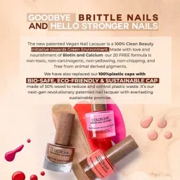 Colorbar Vegan Nail Lacquer Haute Shimmy - 299 - 8 ml image 3