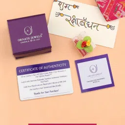 ornate jewels 925 Silver 18K Gold Plated Cool Bhai Thread Rakhi for Brother with Roli Chawal image 4