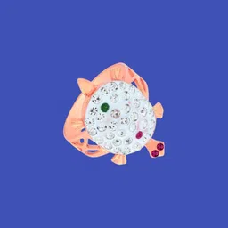 Dynamic Retail Global Unisex Gold Ring image 1