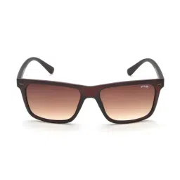 IRUS By IDEE IRSO104C3SG Brown Square Sunglasses-picture-17