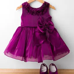 BlueBell Tissue Woven Sleeveless Party Dress with Floral Applique & Booties - Wine-picture-24