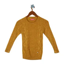 Monte Carlo Kids Mango Regular Fit Sweater-picture-12