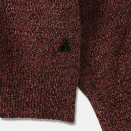 Blue Giraffe Boys Red Self Design Sweater image 4