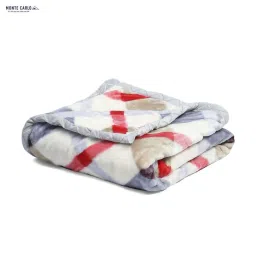 Monte Carlo Multicolor Polyester 553 GSM Winter Blanket image 4