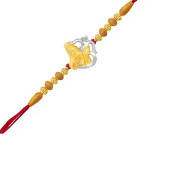 VIVASTRI Multistrand Rakhi-picture-13