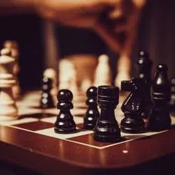 ppt 14 Inches Light Weight Folding Chess Wooden Chess Set 14 cm Chess Board image 2