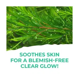 st.ives St. Ives Clear Glow Micellar Water Tea Tree - 400 ml image 5