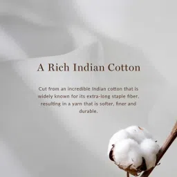 ANDAMEN Dark Khaki Regular Fit Cotton Hooded Sweatshirt image 5