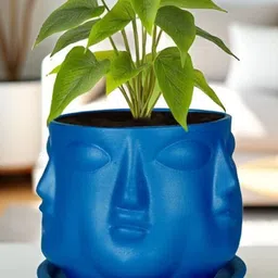 LASAKI Blue Ceramic Planter With Plate image 4