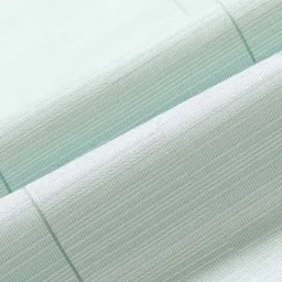 Arrow New York Green Cotton Slim Fit Striped Shirt image 5