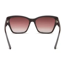 Irus Brown Cat Eye UV Protection Sunglasses for Women image 5