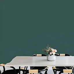 INDIAN ROYALS Teal Self-Adhesive & Durable Wall Sticker-picture-11